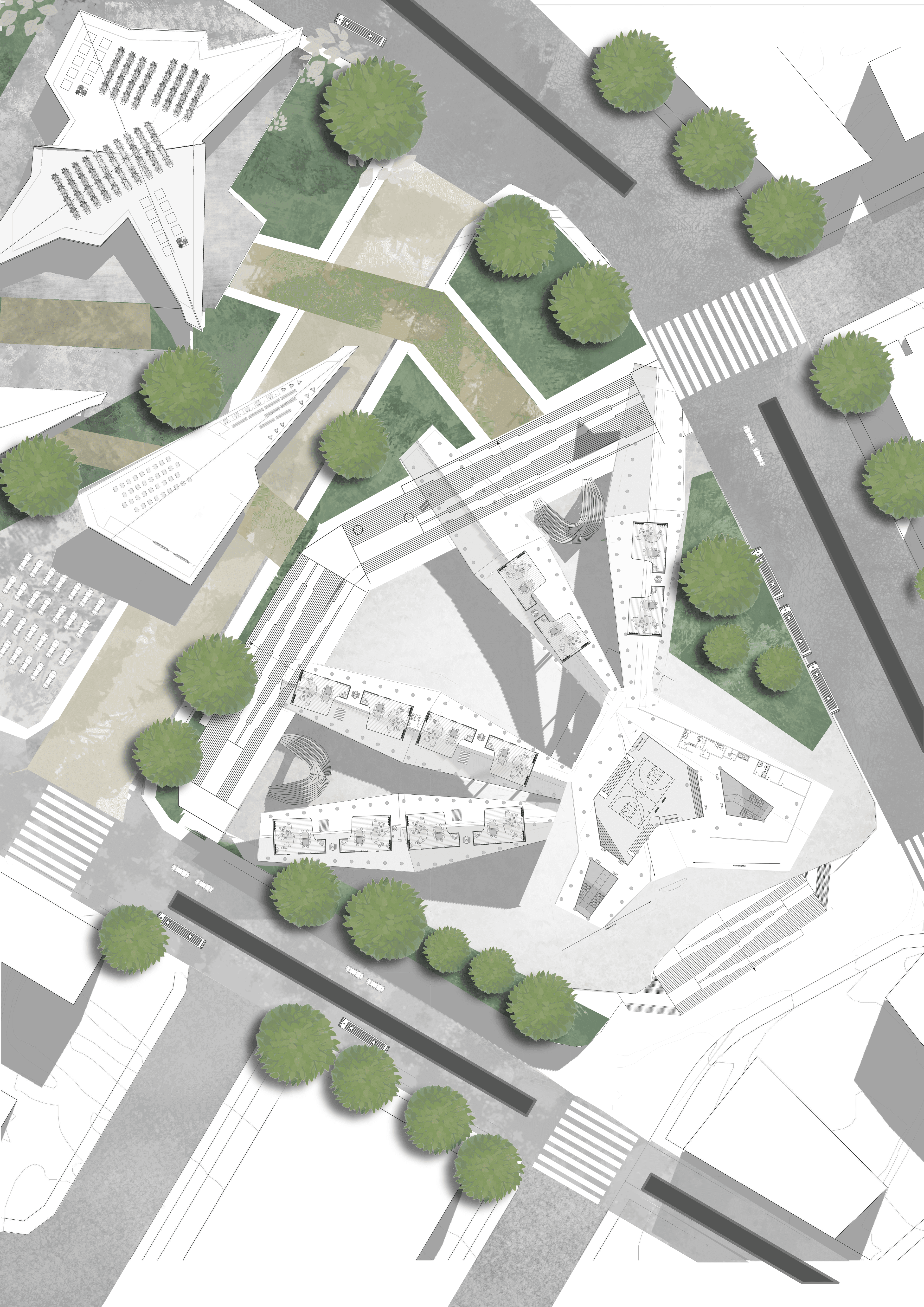 Site Plan 1:250