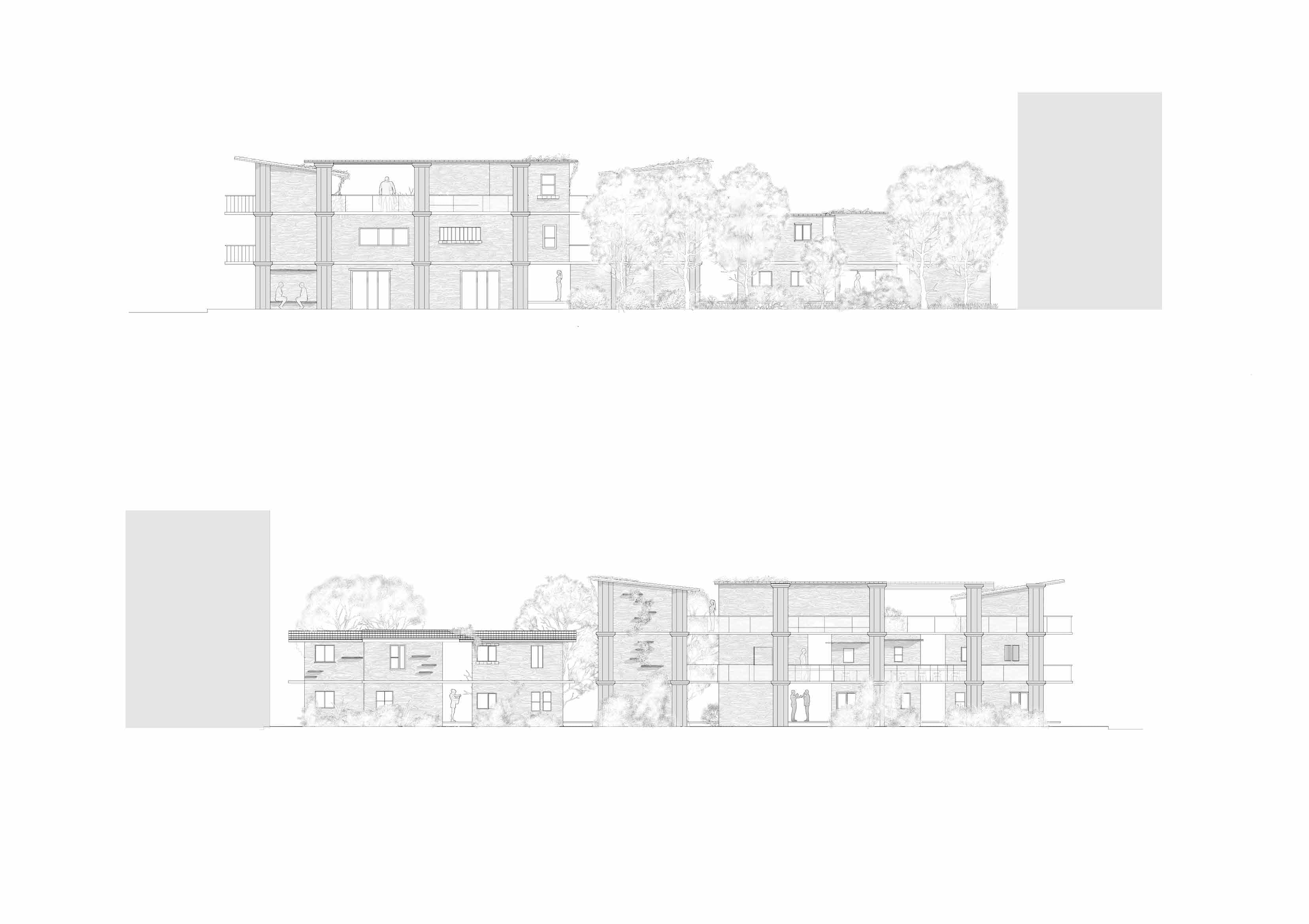 Elevation